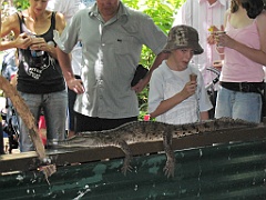 CairnsTC273 Wildlife Habitat